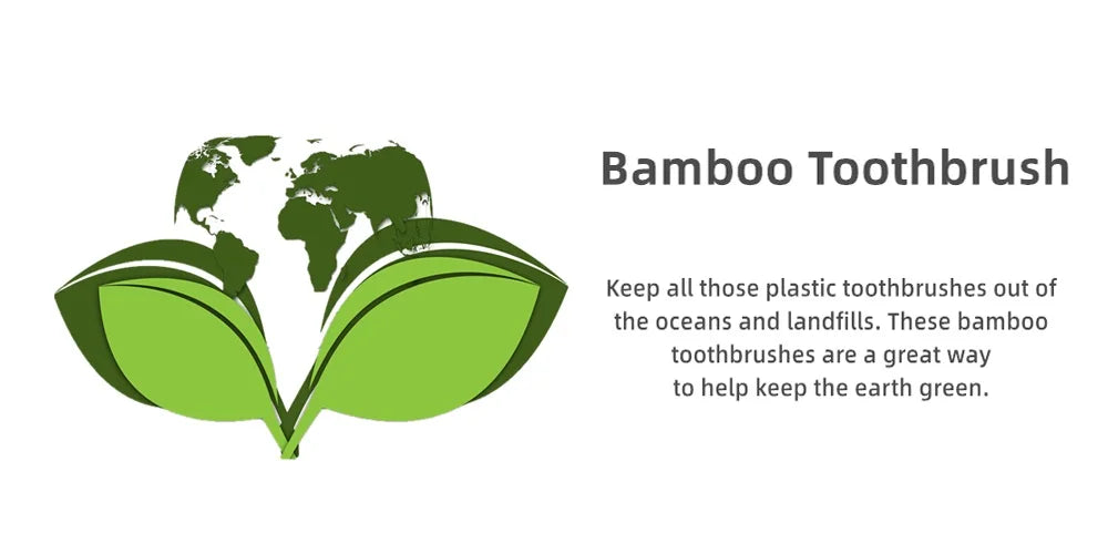 Eco Friendly Bamboo Toothbrush Travel Case