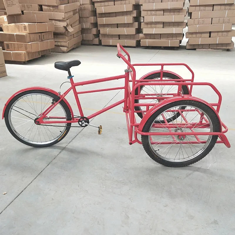 Cargo bike tricycle single speed