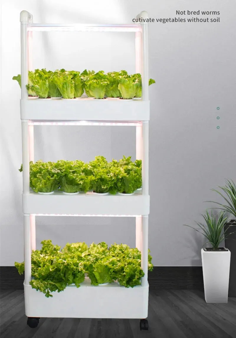 Hydroponics Growing System