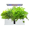 Hydroponics Growing System