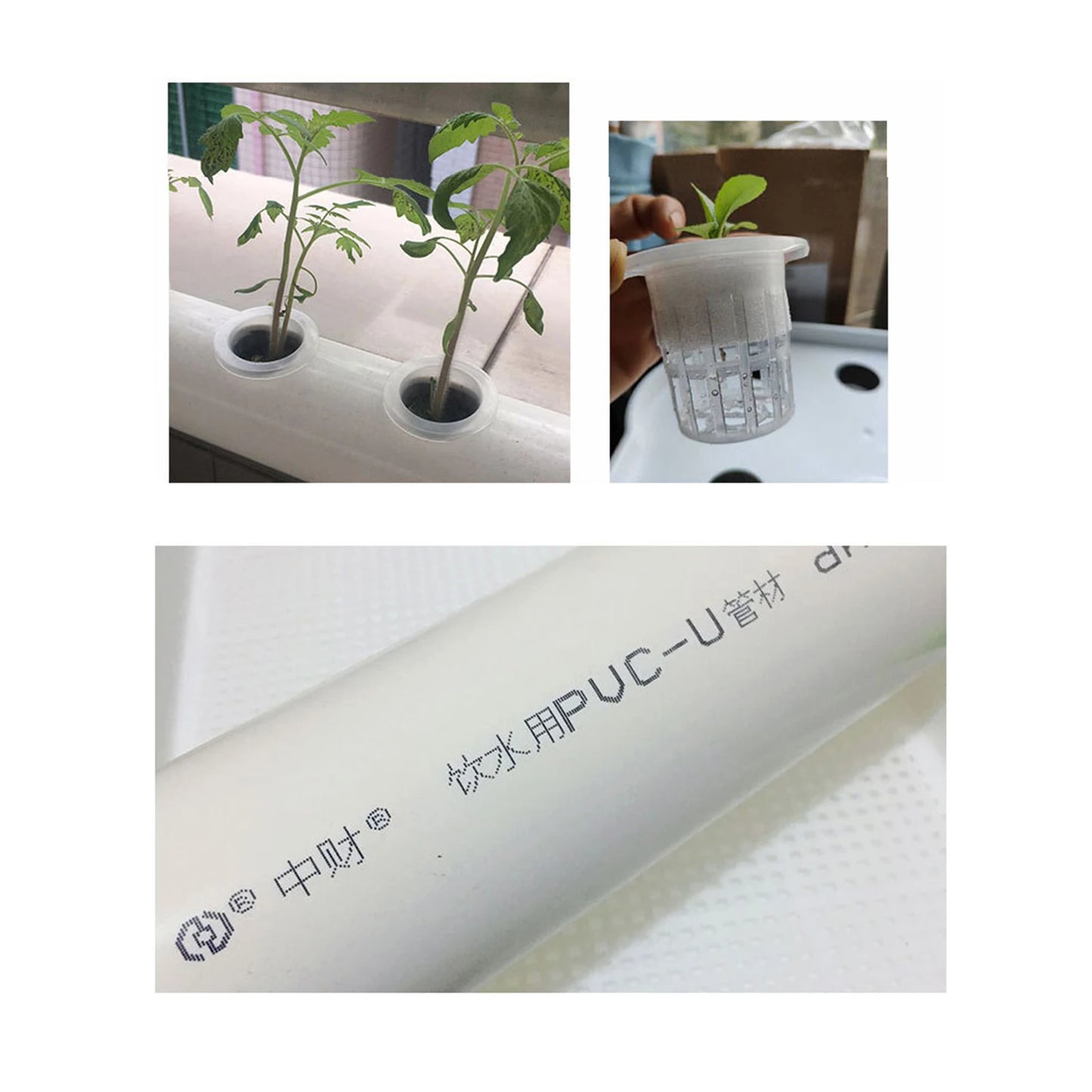 Hydroponic Grow System