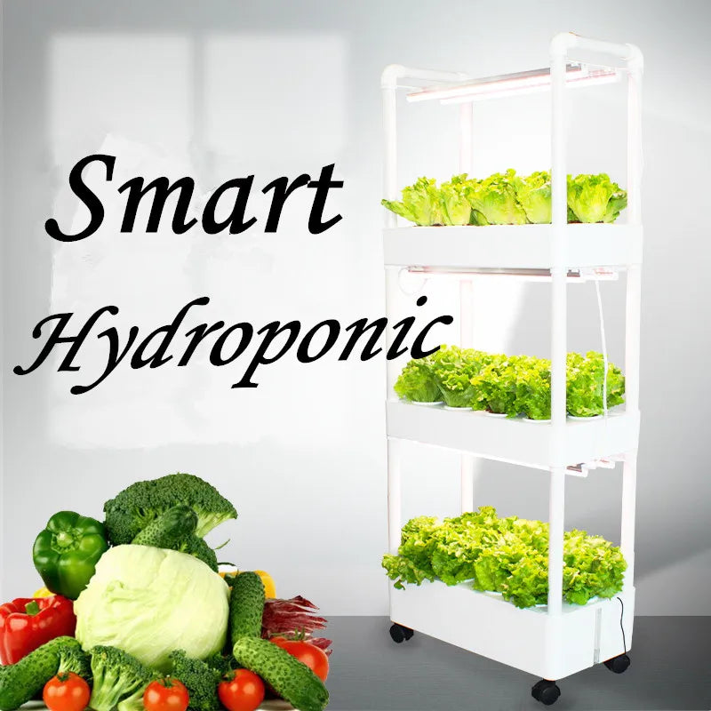 Hydroponics Growing System