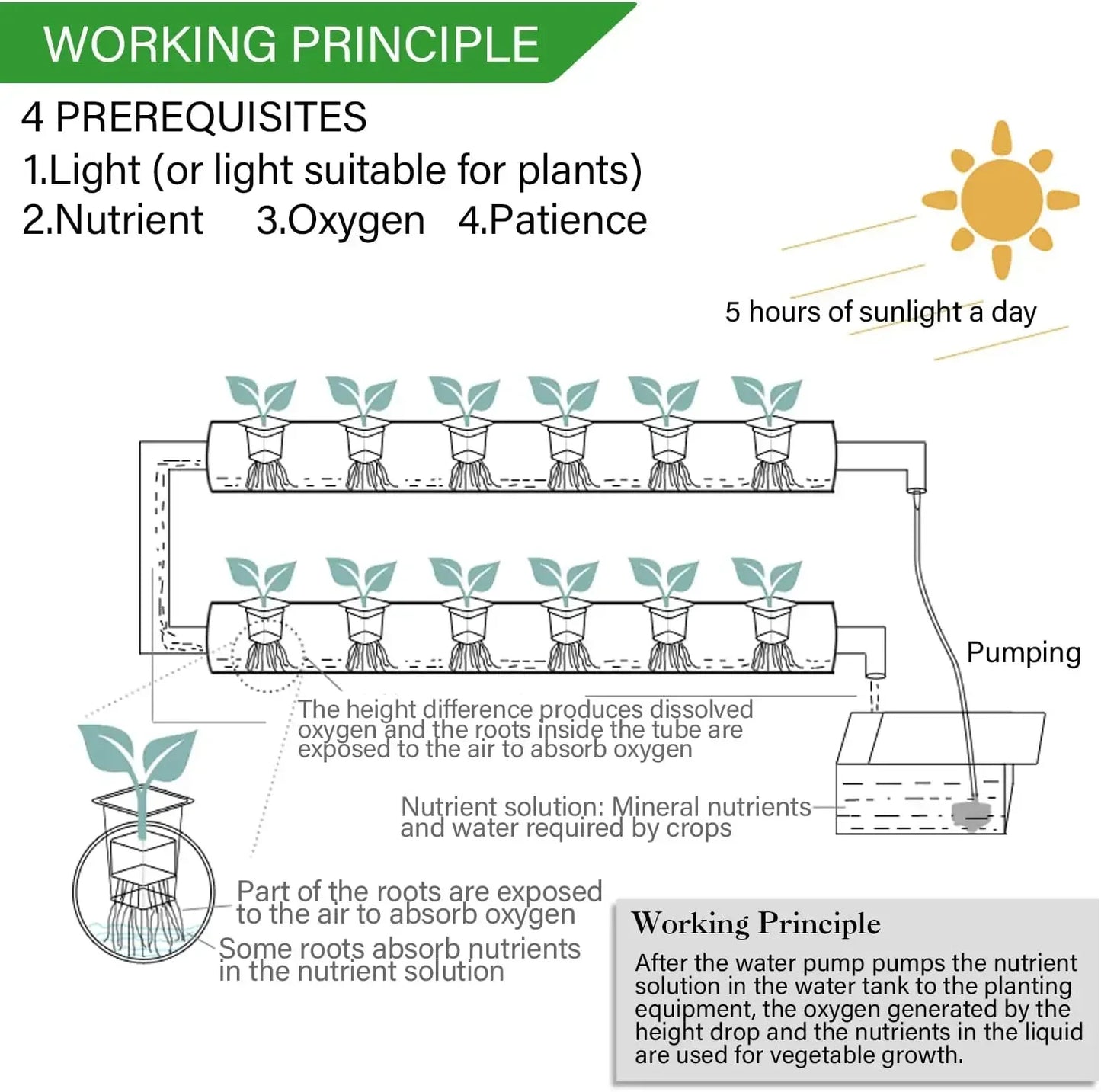 Hydroponic Growing Kits