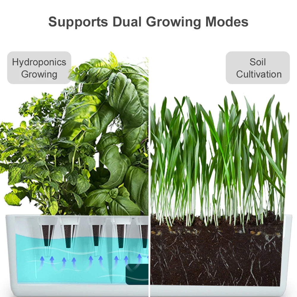 Hydroponics Growing System