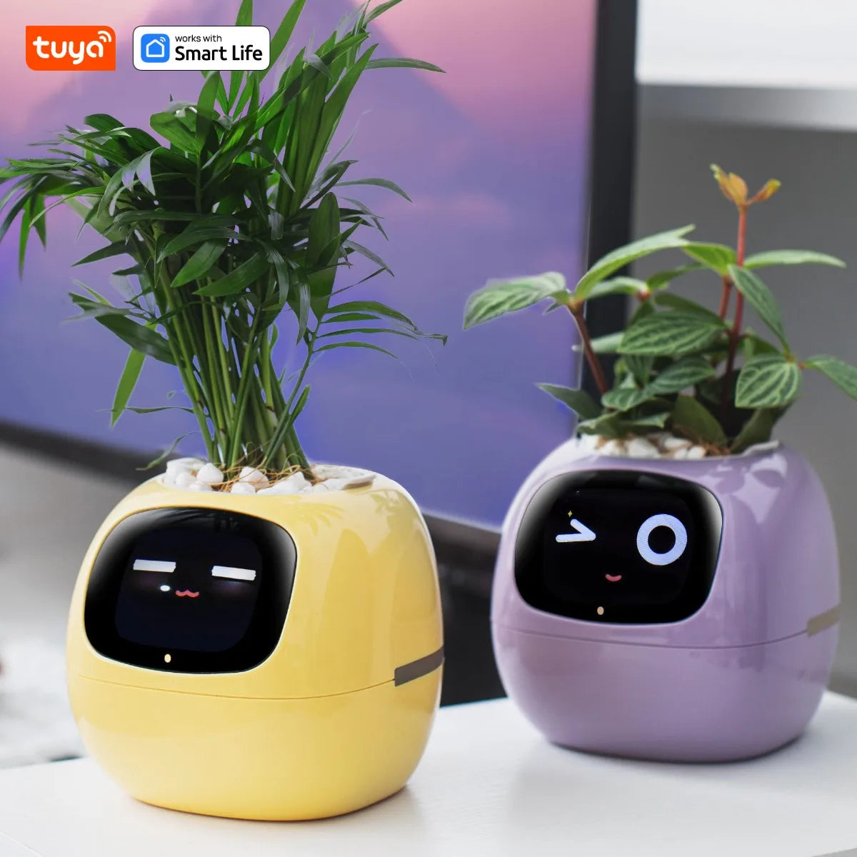 Tuya Ivy Smart Planter,Endless Fun Over 49 Rich Expressions,7 smart sensors,AI Chips Make Raising Plants Easy and Fun