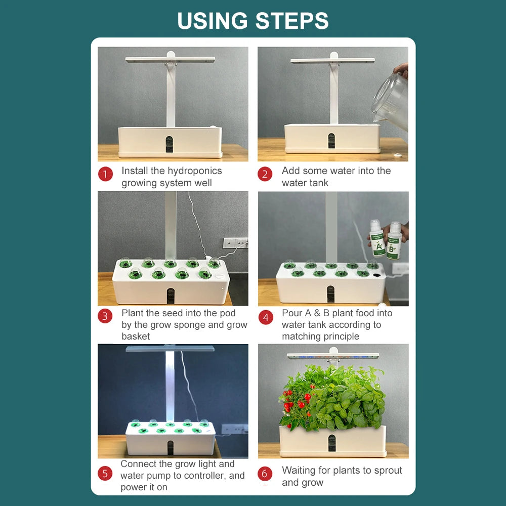 Hydroponics Growing System