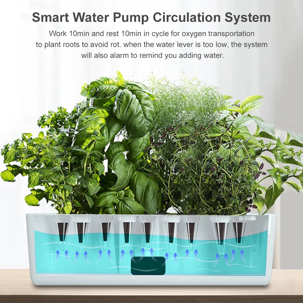 Hydroponics Growing System