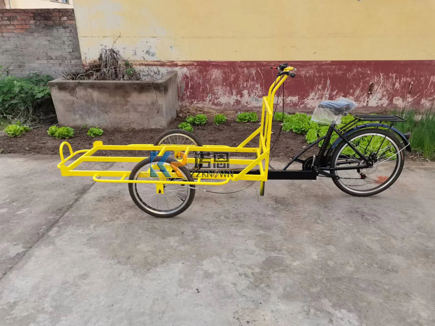 Electric Cargo Bike