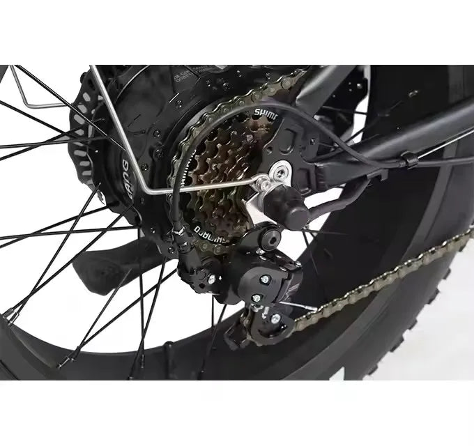 Folding E-bike