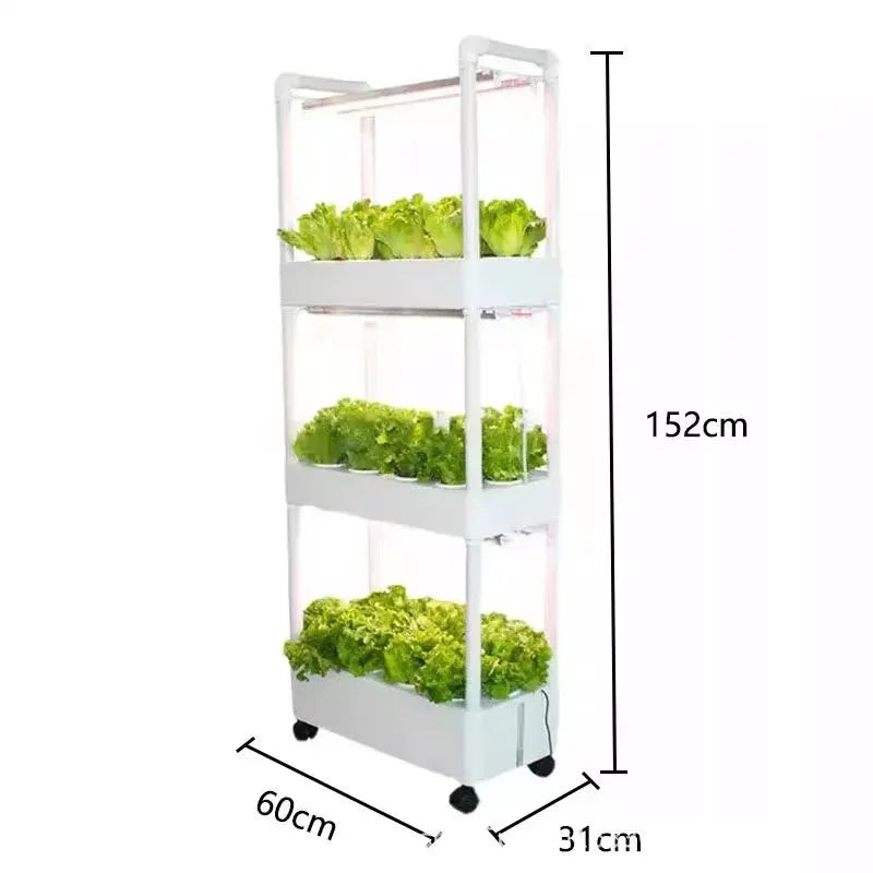 Hydroponics Growing System