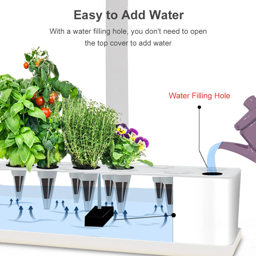 Hydroponics Growing System