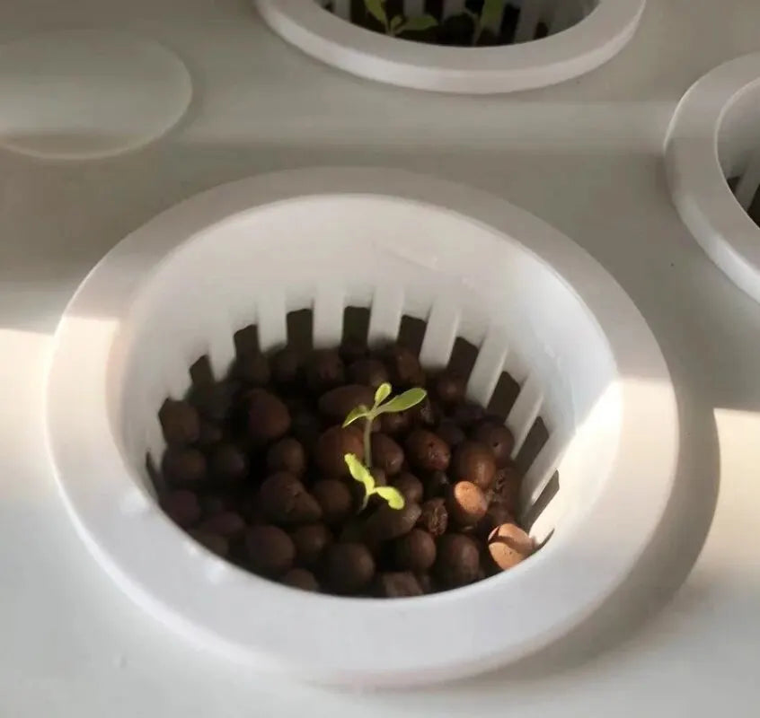 Hydroponics Growing System