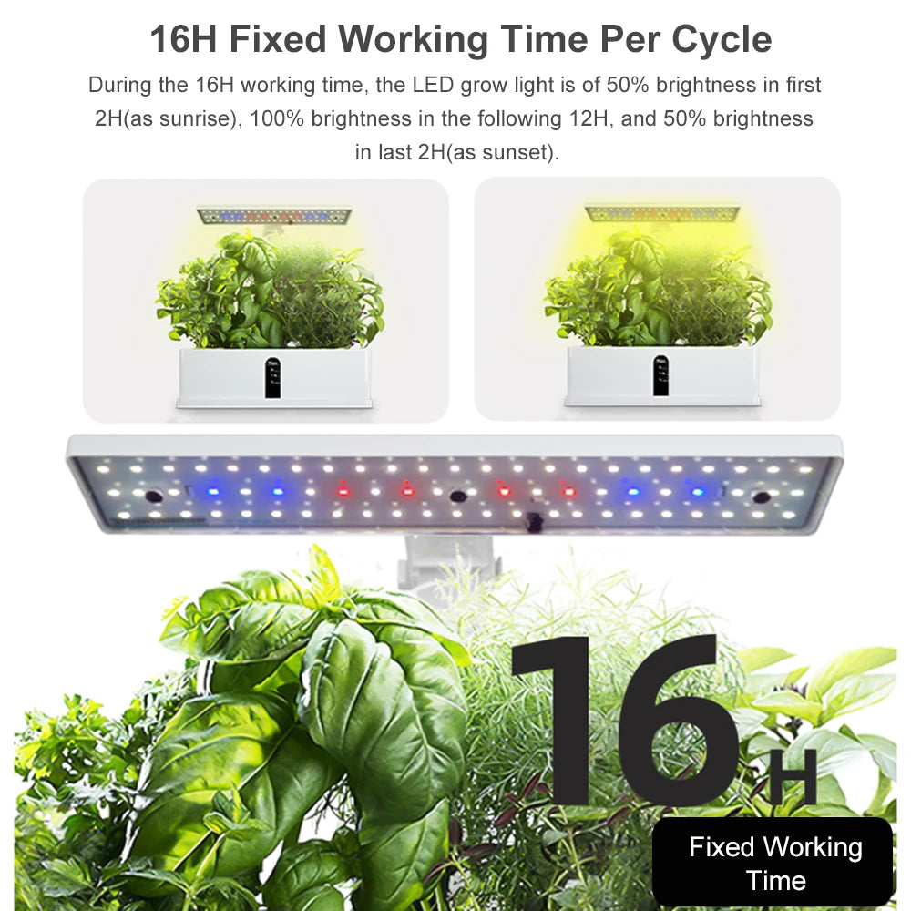 Hydroponics Growing System